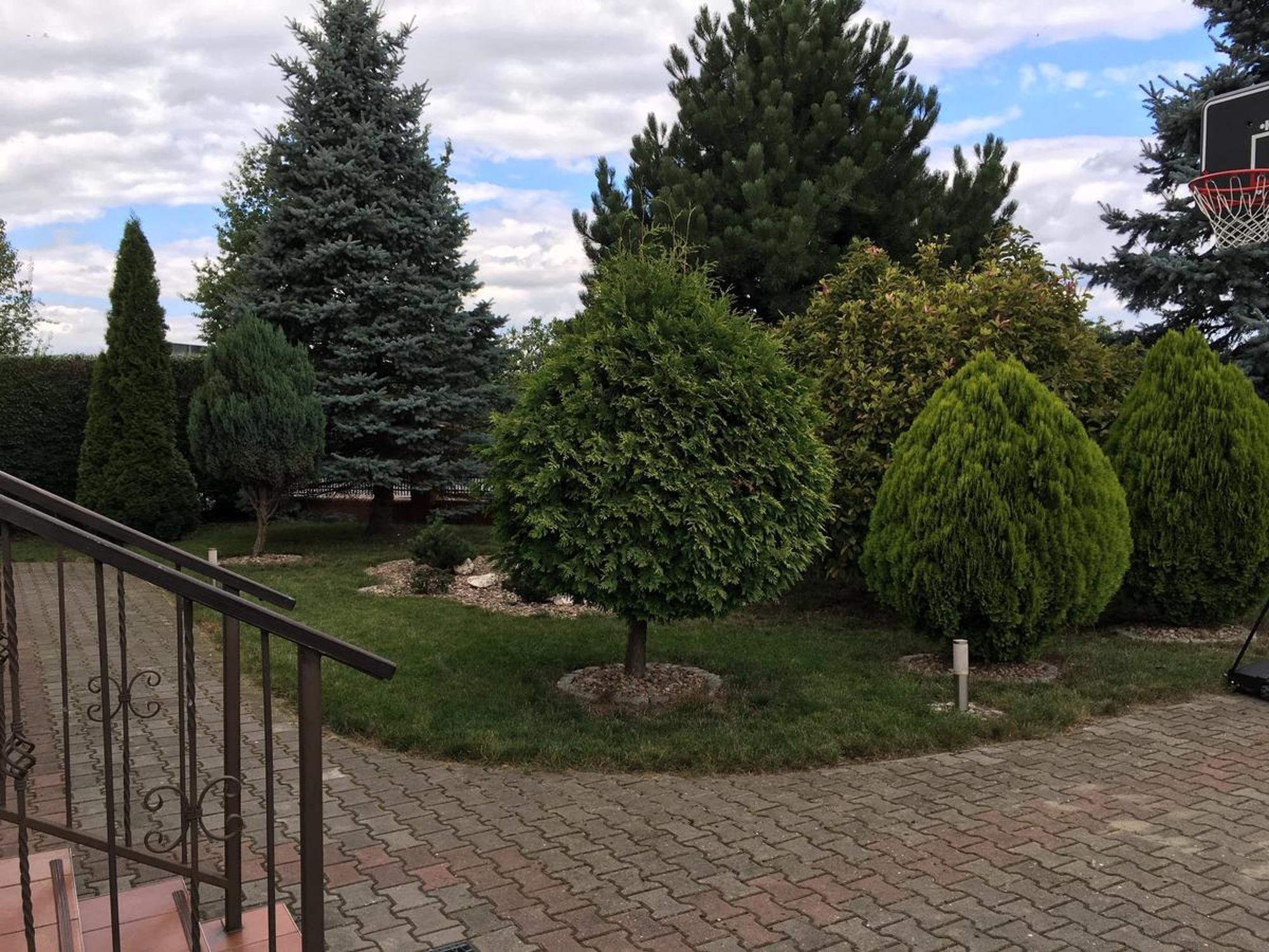 Apartament Zakatek Wroclawia Bielany Wrocławskie Esterno foto